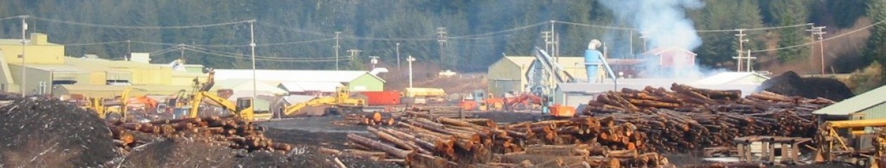 Silver Bay Forest Products